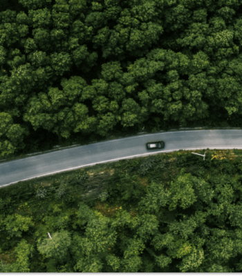 Corporate sustainability: What a trailblazing program will look like in 2026