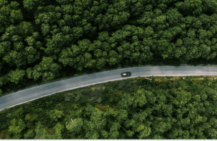 Corporate sustainability: What a trailblazing program will look like in 2026