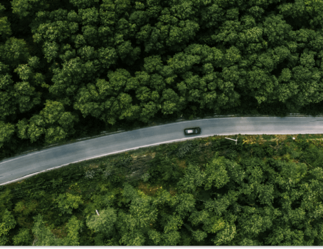 Corporate sustainability: What a trailblazing program will look like in 2026