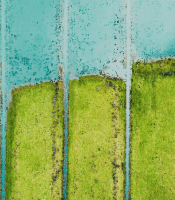 How corporate sustainability teams are approaching AI