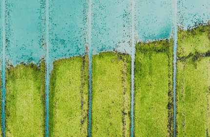 How corporate sustainability teams are approaching AI