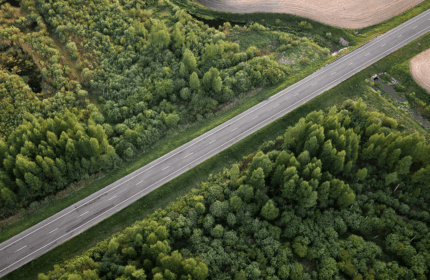 AI use in corporate sustainability: Adoption trends, use cases, and sentiments