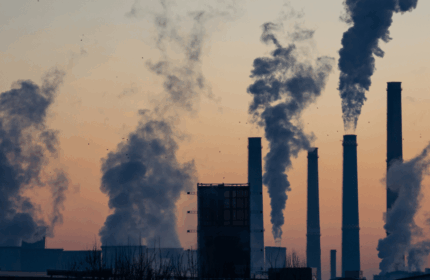 Benchmarking your sustainability program: Best practices for learnings