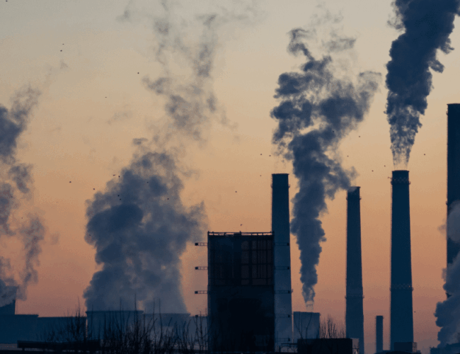 Benchmarking your sustainability program: Best practices for learnings