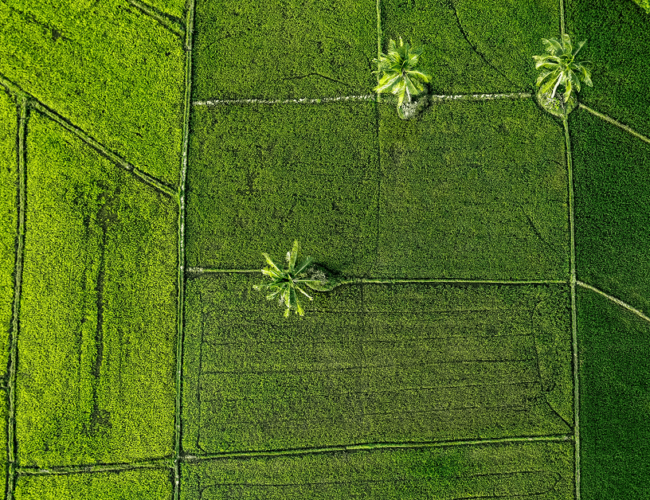 Webinar recap: Aligning ESG & procurement for sustainable supply chains