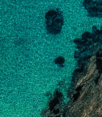 Fortinet Models Use of Sold Product Emissions For 9,500+ Products