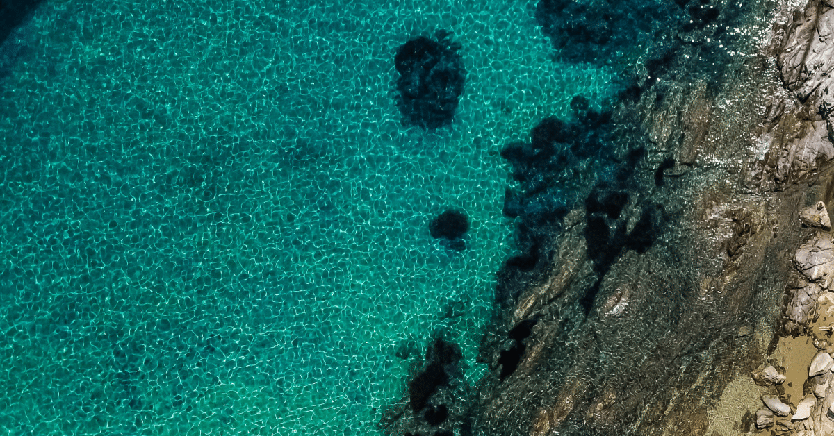Fortinet Models Use of Sold Product Emissions For 9,500+ Products