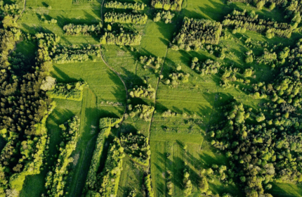 How organizational structure impacts climate efforts