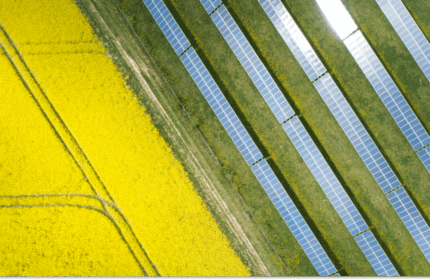 Renewable energy:
Practical advice for maximizing impact