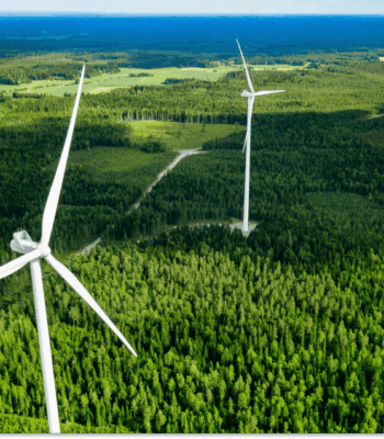 Webinar recap: Choosing the right renewable energy approach for your business
