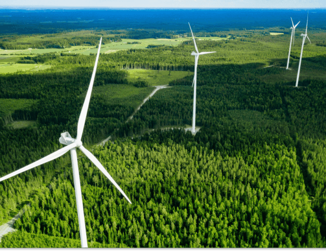 Webinar recap: Choosing the right renewable energy approach for your business