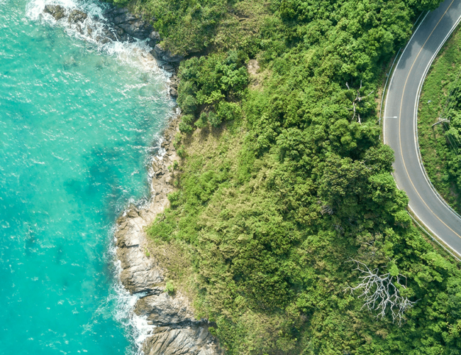 The business case for sustainable supply chains: From cost savings to brand loyalty