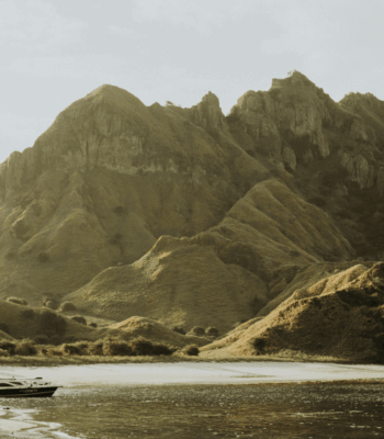 The trends defining corporate sustainability in 2026 and how they will shift team priorities