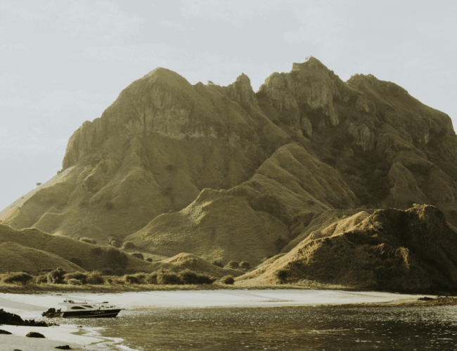 The trends defining corporate sustainability in 2026 and how they will shift team priorities