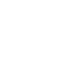 Logo - Dell white
